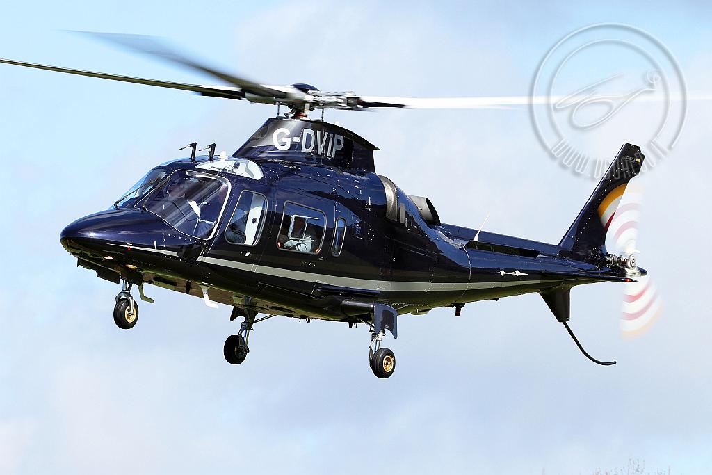 G-DVIPp1.jpg