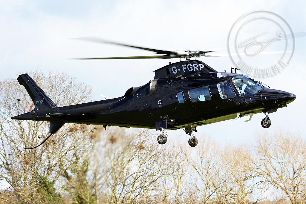 G-FGRPp3.jpg