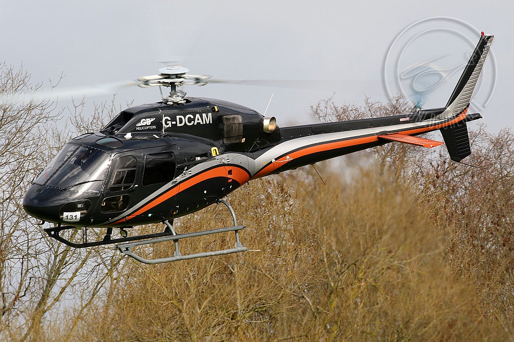 g-dcamCR1p.jpg