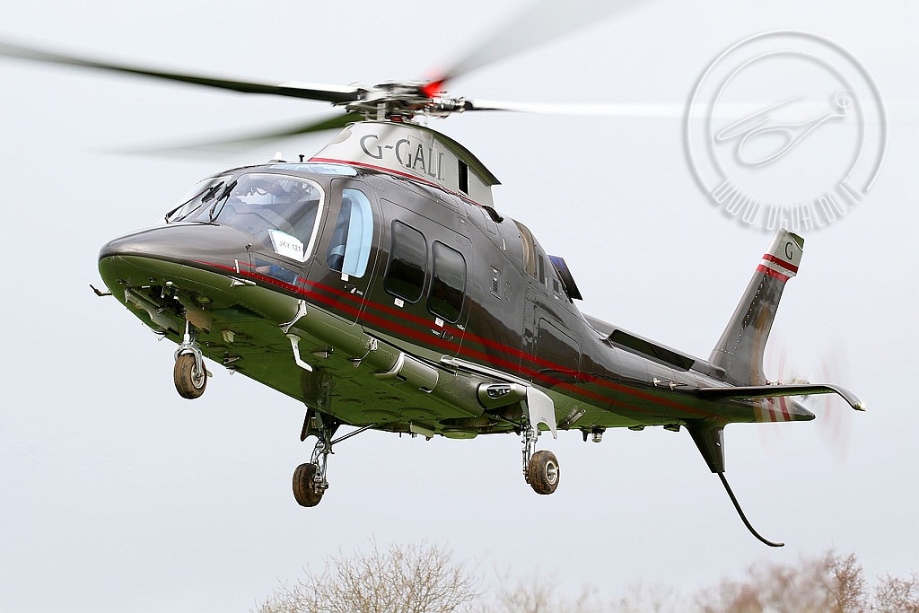 g-galiCR2p.jpg