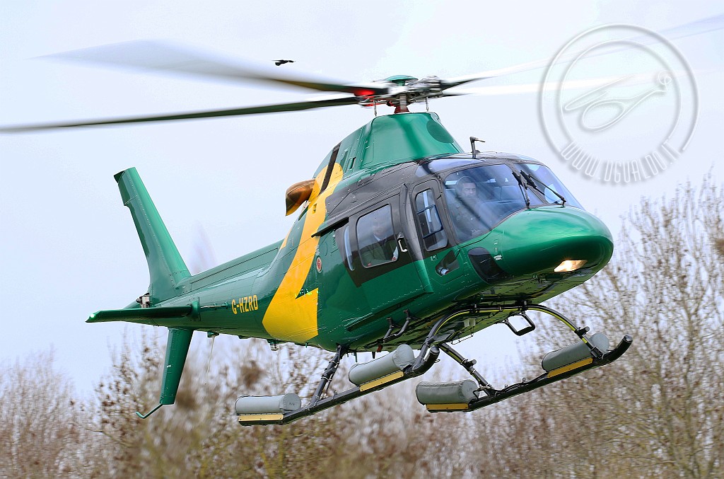 g-hzrdCRp.jpg