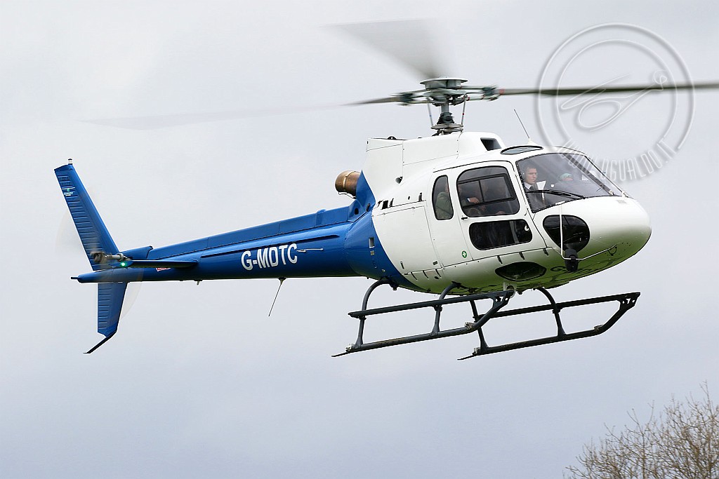 g-mdtcCRp.jpg