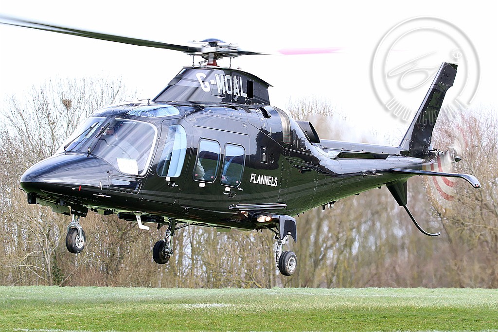 g-moalCRp.jpg