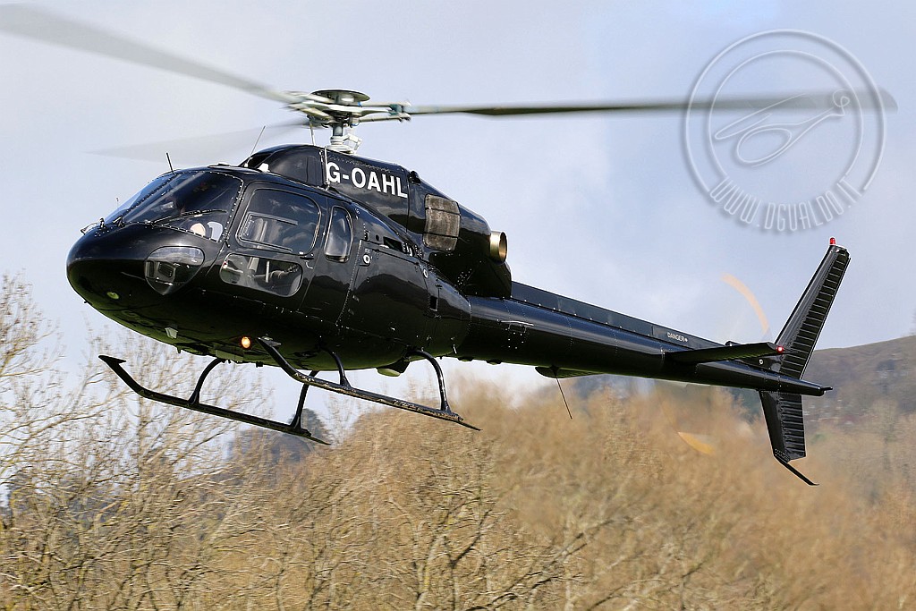 g-oahlCR2p.jpg