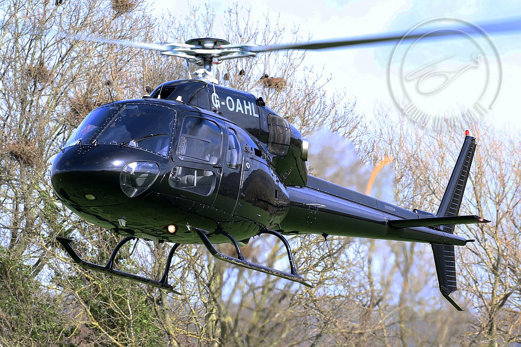 g-oahlCR5p.jpg