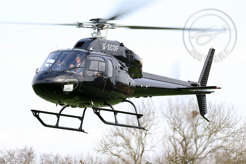 g-scofCR2p.jpg