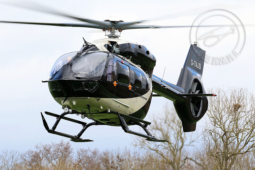 g-tajbCR1p.jpg