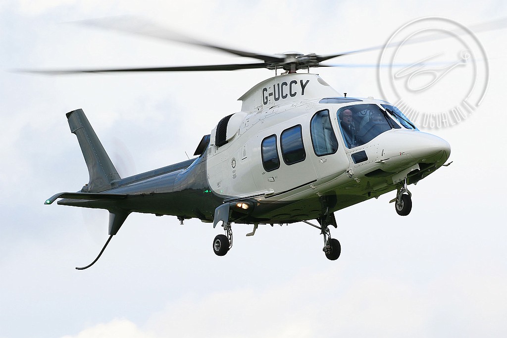 g-uccyCRp.jpg