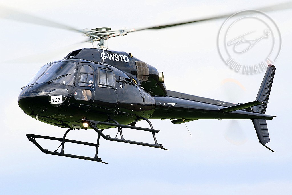 g-wstocr1p.jpg
