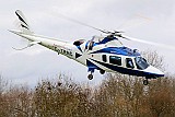 g-trngCRp